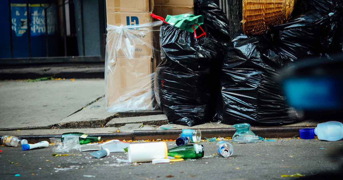 An image of litter next to a road